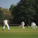 Online Cricket Betting